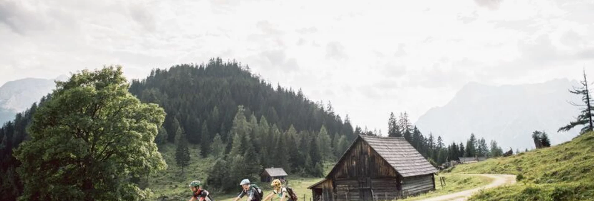Mountainbike Hochscheiben - Ennsbodenweg  Mountainbiketour - Touren-Impression #1 | © TV Gesäuse